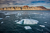 Small icebergs and growlers floating in the icy, grey-blue waters of Greenland's Kaiser Franz Joseph Fjord; East Greenland, Greenland