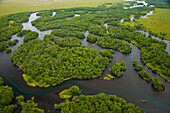 Lachse laichen in den klaren Flüssen des Kronotsky Naturreservats; Kronotsky Zapovednik, Kamtschatka, Russland