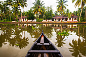 Ruderboot nähert sich einer Uferlinie mit Palmen und Gebäuden; Kumarakom, Bundesstaat Kerala, Indien.