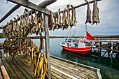 Trocknender Kabeljau im Fischerdorf Lovund; Lovund Island, Norwegen