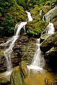 Beautiful waterfall along Gilpin Trail in Tobago; Tobago, Republic of Trinidad and Tobago