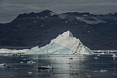 Sunlit icebergs floating in the glacial waters of Nansen Fjord with the silhouetted mountain ridge in the background under a grey, cloudy sky; East Greenland, Greenland