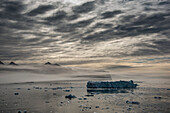 Eisberg schwimmt im Gletscherwasser im Nansen Fjord mit den Bergen als Silhouette gegen die grauen Wolken und einer Nebelschicht über dem ruhigen Wasser; Ostgrönland, Grönland