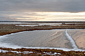 Frozen Landscape With Patches Of Ice On The Grass At Sunset; Churchill Manitoba Canada