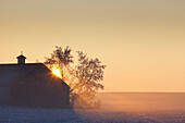 Sonnenlicht scheint hinter einem Haus in einer ländlichen Gegend; Parkland County Alberta Kanada