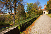 Vines Growing On A Stone Ledge Along A Path Leading To A Town Gate; Rothenburg Ob Der Tauber Bavaria Germany