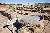 Excavations At The Old Roman Settlement; Bolonia Andalucia Spain