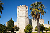 Alte Burg und Bäume vor blauem Himmel; Jerez De La Frontera Andalusien Spanien