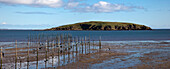 Posts In The Shallow Water Along The Coast; Dumfries And Galloway Scotland