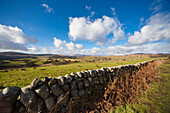 Eine Steinmauer durch Felder; Dumfries Schottland