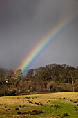 Ein Regenbogen und Gewitterwolken; Dumfries Schottland