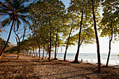 Playa Santa Teresa (Santa Teresa Beach) In Santa Teresa And Mal Pais (Malpais) On The Nicoya Peninsula; Puntarenas Province, Costa Rica