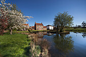 Häuser und Bäume am Wasserrand, die sich im ruhigen Wasser spiegeln; North Stainley Yorkshire England
