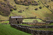 Ein steinerner Schuppen in einem Feld mit Steinmauern; Swaledale England
