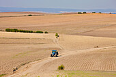 Traktor, der im Winter durch brachliegende Felder in der Nähe von Sanlucar La Mayor fährt; Provinz Sevilla Spanien