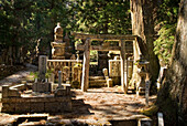 Traditioneller japanischer Friedhof im Wald; Koyasan Wakayama Japan