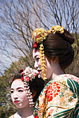 Zwei Geishas Nahaufnahme; Kyoto, Japan