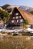 Traditionelles japanisches Dorfhaus mit Strohdach und Reisfeld im Vordergrund; Shirakawa, Gifu, Japan