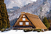 Traditionelles japanisches Strohdach-Dorfhaus im Winter; Shirakawa, Gifu, Japan