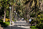 Pedestrians Walking Down A Path Lined With Palm Trees; Malaga, Andalusia, Spain