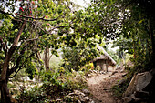 Ein unbefestigter Weg, der zu einem Haus führt; Yelapa, Jalisco, Mexiko