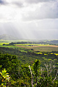 Ansichten mit Blick auf die Kipu Ranch; Kauai, Hawaii, USA