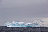 Ein Eisberg im Wasser vor der Küste; Antarktis