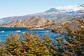 Kleiner See im Torres Del Paine National Park in der Nähe der Paine Grande Lodge; Patagonien Chile