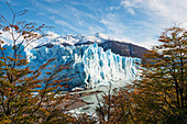 Perito Moreno Gletscher Im Herbst; Patagonien Argentinien