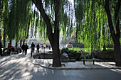 Bäume und Bänke in einem Stadtpark mit Fußgängern auf dem Gehweg; Peking China