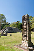 Honduras, Copan Ruinen, Archäologischer Park Copan, Stele F, Maya-Glyphen