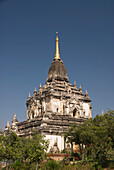 Myanmar, Bagan, Gawdawpalin Pahto, Detail of roof and treetops.