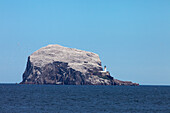 Large Rock Formation (Bass Rock) In The Ocean With A Lighthouse; Lothian Scotland