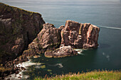 Rock Formations Along The Coast At St. Abb's Head; Scottish Borders Scotland