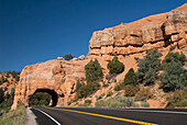 USA, Utah, Dixie National Forest, Red Canyon, Claron Limestone Formations, Tunnel cut through rock formation for road.