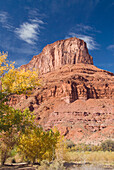 USA, Utah, Moab, huge butte with trees turning color in the Fall