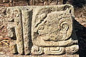 Honduras, Copan Ruinas, Copan Archeological Park, Temple 11, Mayan glyph