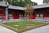 Ein kleines Stück Gras und ein Baum in der Ecke eines Gebäudes; Beijing China