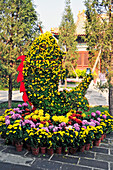 Flowers Designed In The Shape Of A Fish; Beijing China