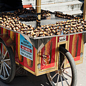 Ein Essenswagen; Istanbul Türkei
