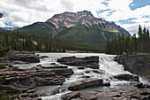Athabasca Wasserfälle; Alberta Kanada