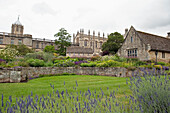 Steinmauer, die Gebäude und Gras mit Blumen trennt; Oxford England