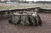 Goethe's Oak, Buchenwald Concentration Camp; Buchenwald, Germany