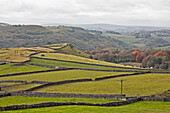 UK, England, Derbyshire, Cressbrook, Stone walls and fields