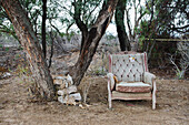Alter Stuhl neben einem Baum; Aguascalientes, Bundesstaat Aguascalientes, Mexiko