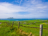 Irland, County Kerry, Dingle, Blasket, Ackerland entlang der Küste