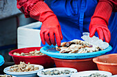 South Korea, Pusan, Vendor preparing seafood for sale at fish market