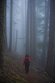 Woman walking through misty old growth forest; Washington State, USA