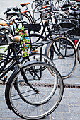Niederlande, Seeland, In Reihe geparkte Fahrräder; Goes
