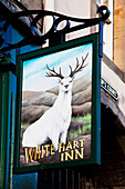 United Kingdom, Scotland, Commercial Sign with stag representation; Edinburgh